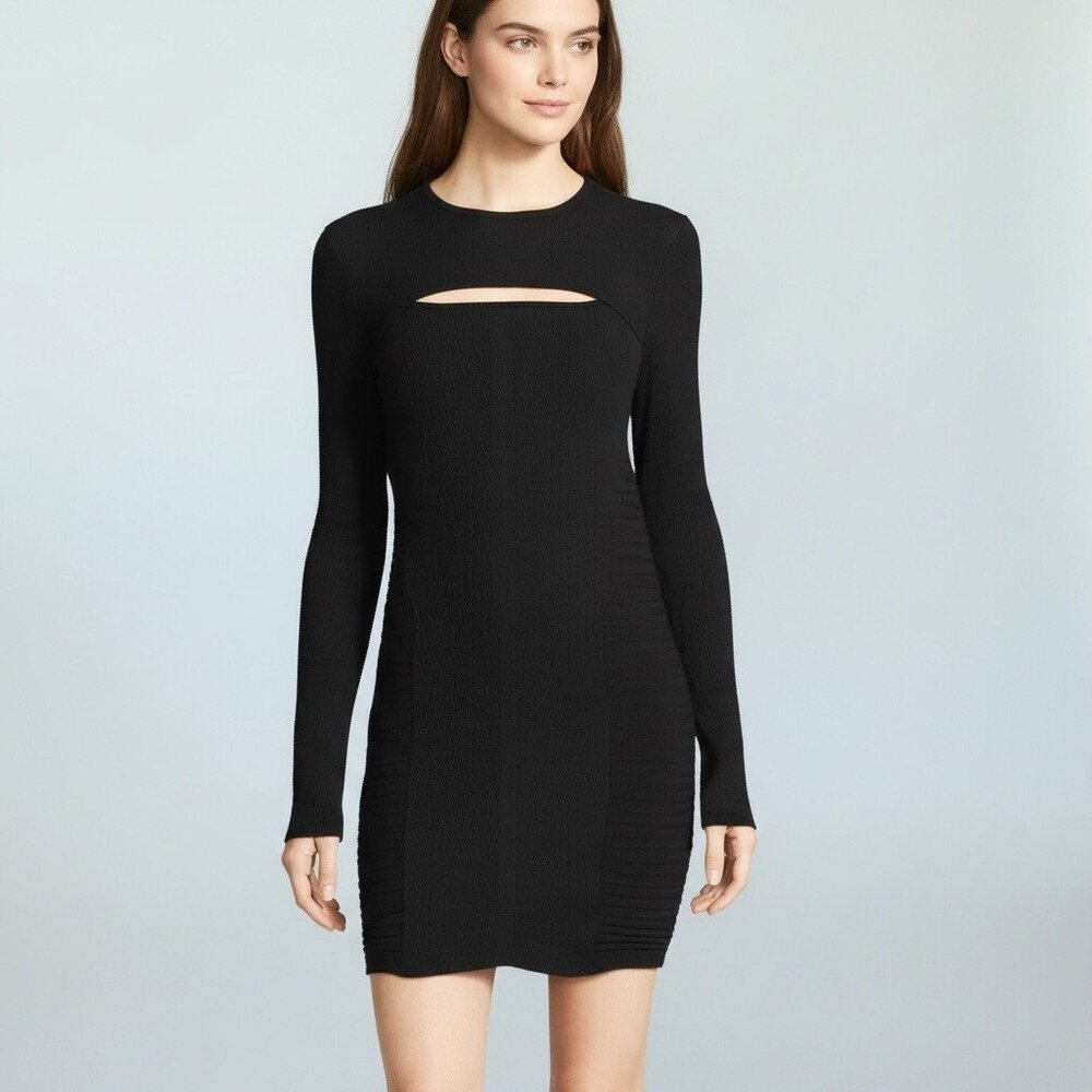 IRO Hardin Women's Mini Dress Sz S Black Ribbed Jersey Long Sleeve Bodycon Italy
